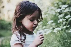 A stock photo that shows a young white child in a field, blowing on a white flower.