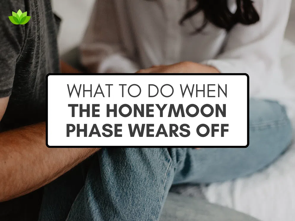 "What to Do When the Honeymoon Phase Wears Off" in black text inside a white text box with a black border, over a stock photo of a of couple's clasped hands.