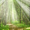 EMDR and Grief