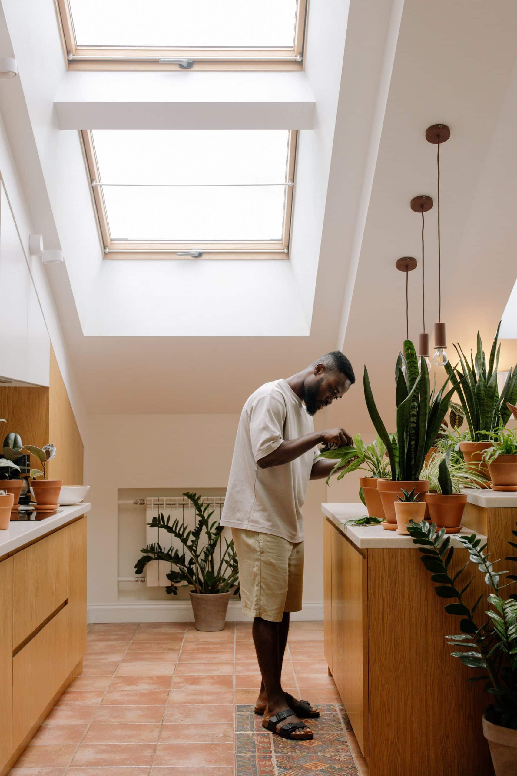 A stock photo of a young black man watering his house plants | Blog: Grieving Your Unlived Life