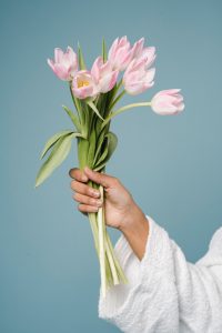A stock photo of a brown hand holding a bouquet of tulips. 